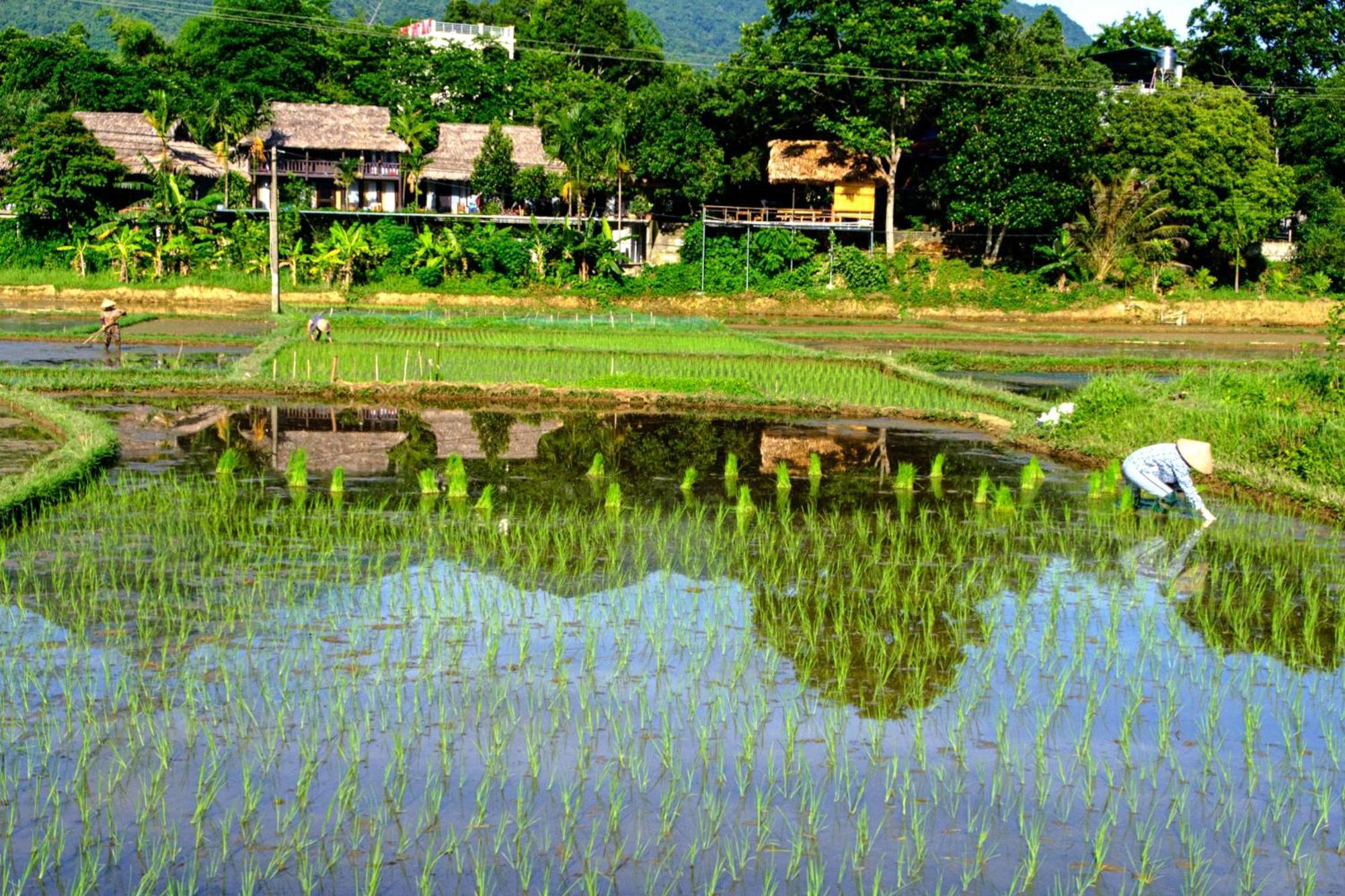 Nha Tan - Mai Chau Homestay And Tours Exterior photo